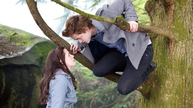 PHOTO: Twilight