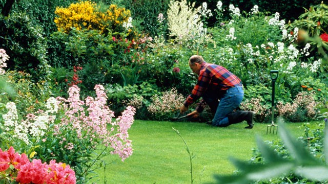 PHOTO: Check out GMAs landscaping tips from the experts that can help increase value to your home.