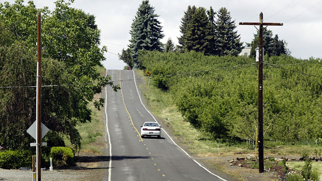 PHOTO: A car drives down Young Grade Road along G&G Orchards near Yakima, Washington.