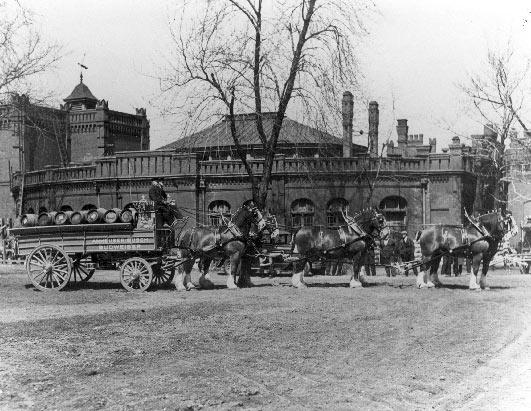 Budweiser Clydesdale History