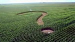 PHOTO: A commercial advocating for high fructose corn syrup claims "your body can't tell the difference" and "sugar is sugar," which sugar producers are arguing is false advertising in a lawsuit.
