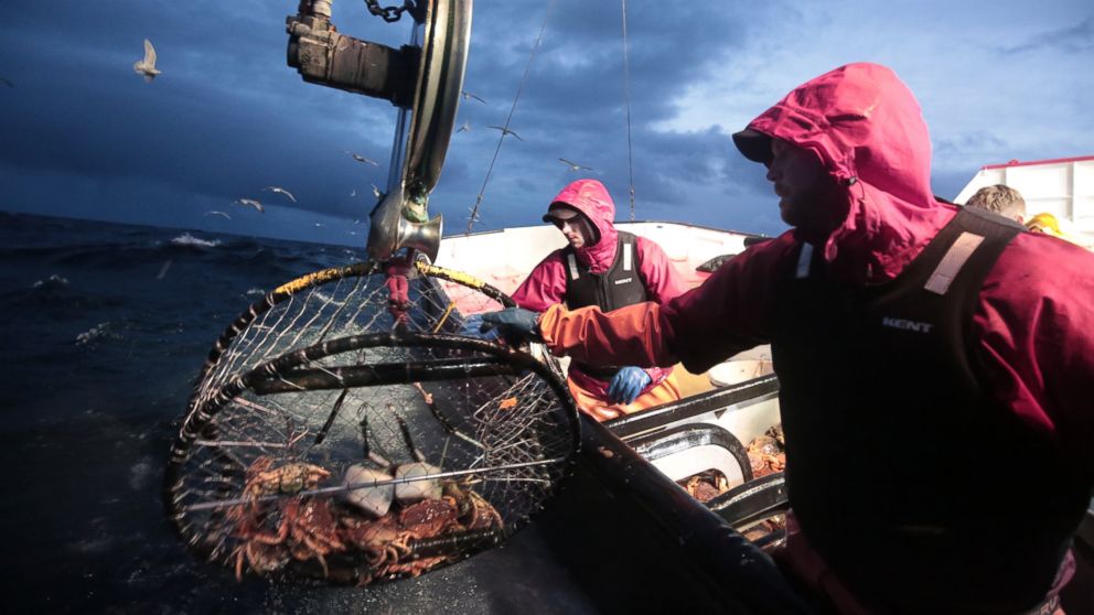 Deadliest Catch Videos at ABC News Video Archive at