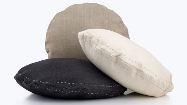 PHOTO: Dog Pillows