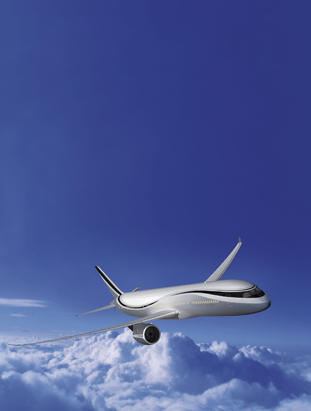 Fly In Luxury
