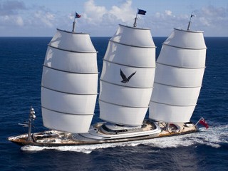 Maltese Falcon