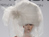 Wedding Dresses