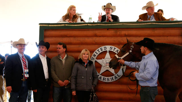 PHOTO: An auction of horses and other items belonging to Rita Crundwell, the indicted former comptroller of Dixon, Ill., earned nearly $5 million.