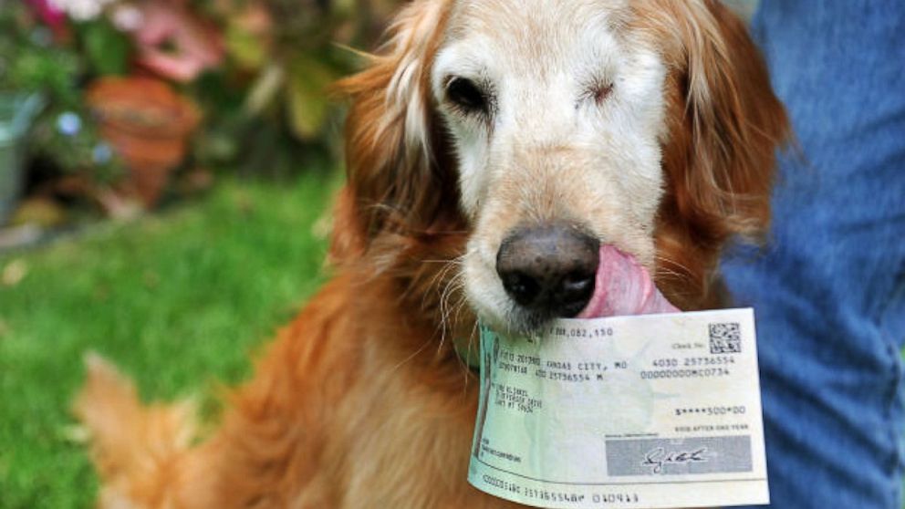 PHOTO: Dog holding check in mouth