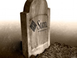 Michael Malone argues that firms like Sun Microsystems shouldn't be 