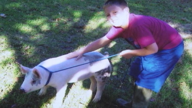 VIDEO: Chandler Beachs prized pig fetched $20,000 to benefit Corbin Wiggins.
