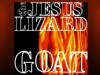 Amplified: The Jesus Lizard