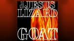 Amplified: The Jesus Lizard