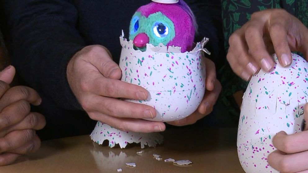the biggest hatchimal egg in the world