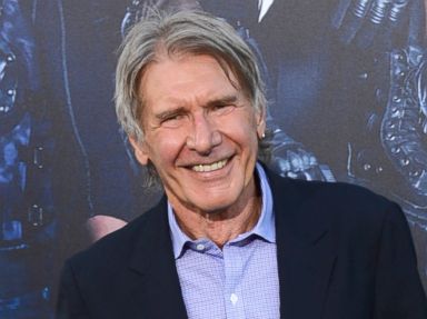 New Details of Harrison Ford's Plane Crash Released