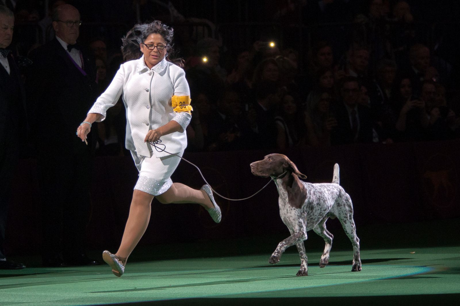  westminster dog show 