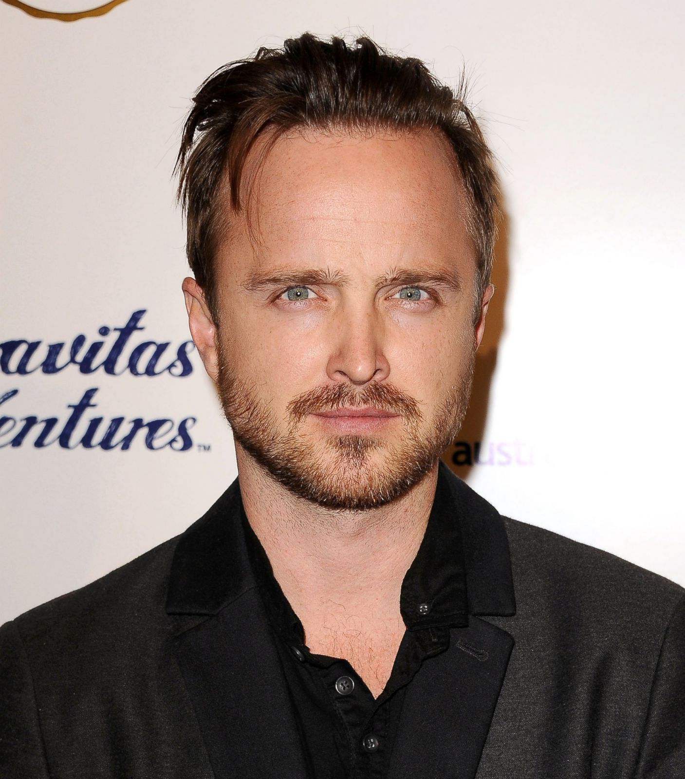 Aaron Paul Gets Serious at the 'Felony' Premiere Picture | October's Top Celebrity ...1407 x 1600
