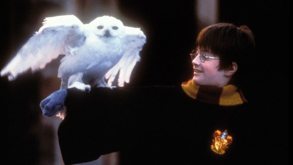 PHOTO: Daniel Radcliffe as Harry Potter in a scene from "Harry Potter and the Sorcerors Stone."
