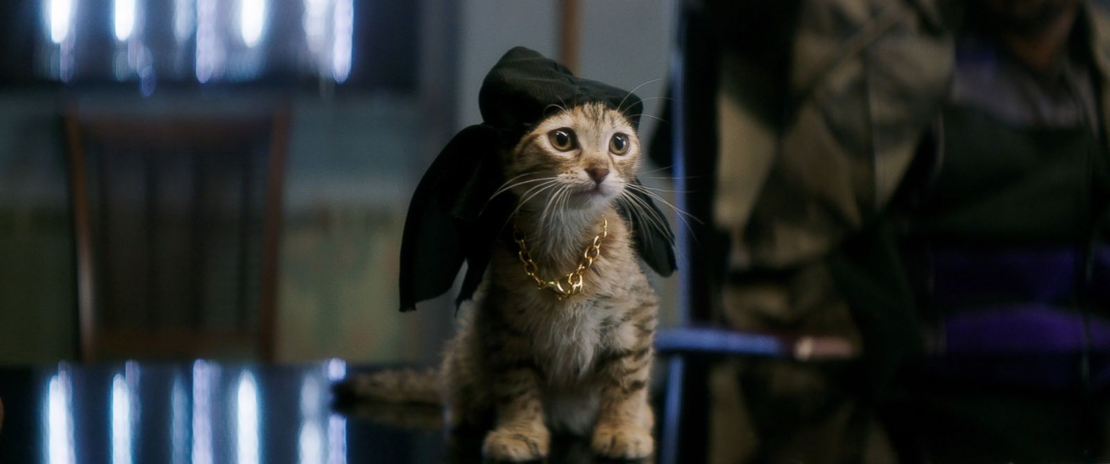 'Keanu' Kitten Comedy Has Plenty of Catnip to Chew On ABC News