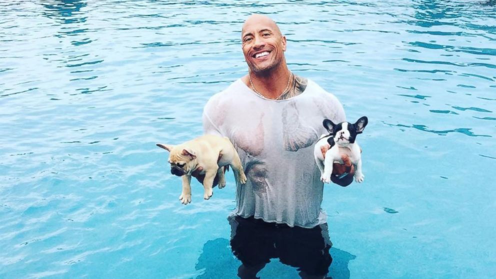 Dwayne Johnson Saves Puppies From Drowning