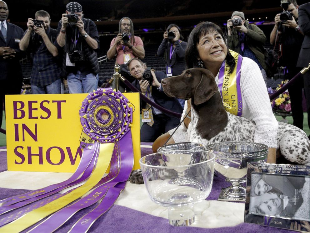 'C.J.' the German Shorthaired Pointer Wins 'Best In Show' at