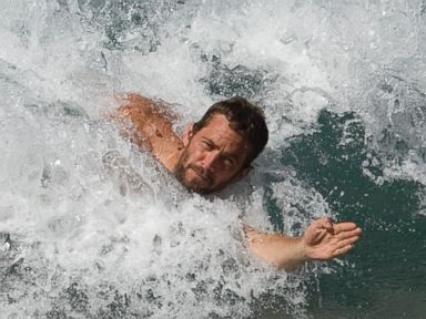 Paul Walker Had Passion for Marine Biology, Charity