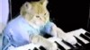 VIDEO: A cat sings about the swine flu on Jimmy Kimmel's show.