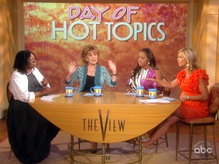 'view' On Sarah Palin's Resignation