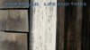 Amplified: Bob Mould