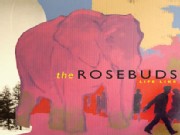 Amplified: The Rosebuds