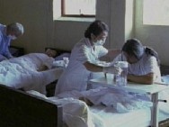 Fatal Contact: Bird Flu in America