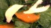VIDEO: Chef Michael Chiarello sautes olives and slices Ricotta for warm salad.