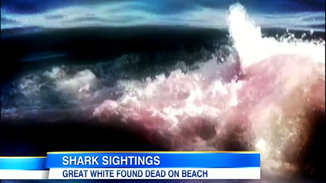 VIDEO: Authorities force swimmers out of the water at some of U.S.s most visited beaches.