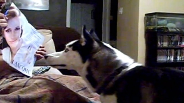 VIDEO: Lancome ad featuring Julia Roberts has a negative effect on a dog.