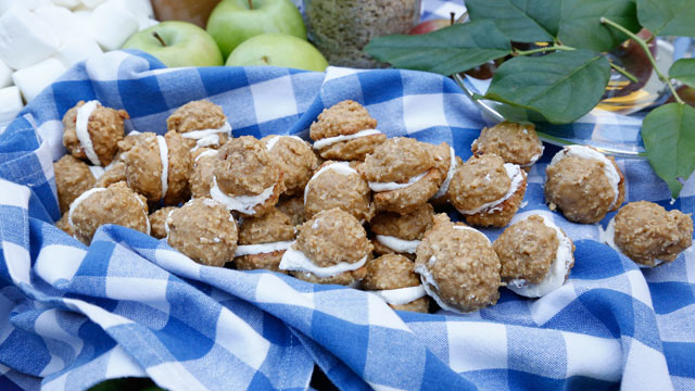 Oatmeal whoopie pie cookies recipes Oatmeal whoopie pie cookies recipes