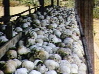 Quick Fix: Killing Fields To Kiddy Porn
