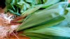 PHOTO: Karen Pickus' sauteed spinach and ramps are shown here.