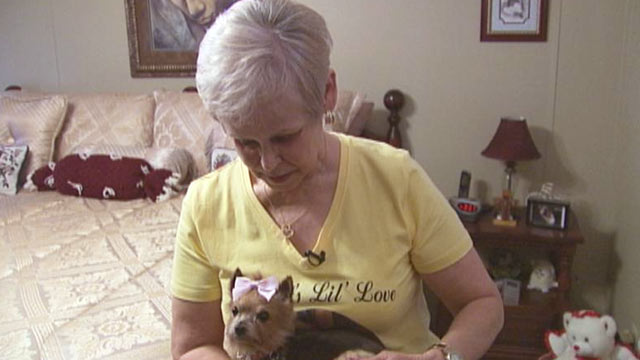 PHOTO: Mary Kaufman of Lonoke, Ark., had her beloved Yorkie Brittney stuffed and freeze-dried after she died.