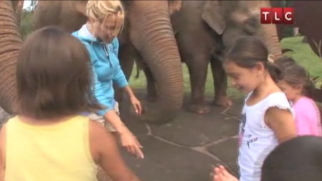 VIDEO: Kate Gosselin and kids returns to reality TV with new episodes on TLC.