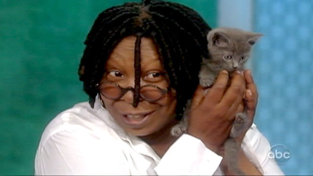 PHOTO: Whoopi Goldberg has adopted a cat that was thrown from a moving car in New York.