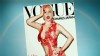 VIDEO: PETA decries Lady Gaga's decision to pose in a dress made of raw meat.