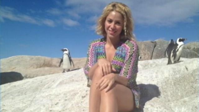 VIDEO: Pop singer was almost bitten by a sea lion while on vacation in South Africa.