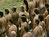 Tunick
