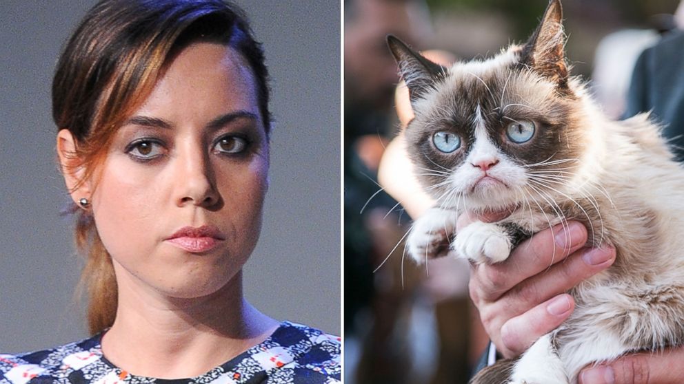 Aubrey Plaza To Voice Grumpy Cat In New Movie Abc News
