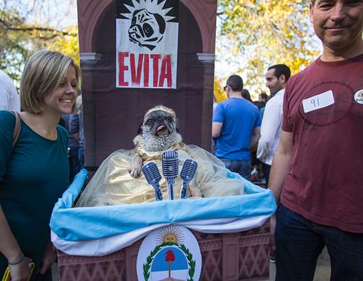 Dogs Dress Up for Halloween Parade