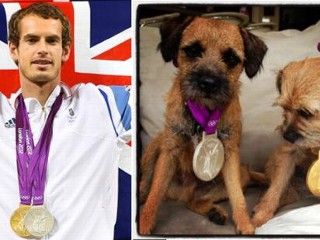 Photos: Andy Murray's Medals Go to the Dogs