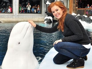 Photos: Celebrity Round-Up: Isla Fisher's New Whale Friend