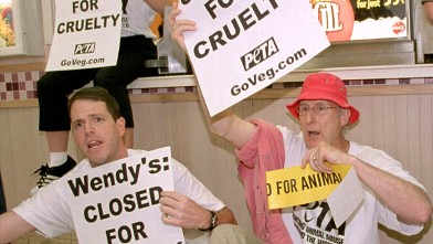 PHOTO: Actor James Cromwell, right, protests with animal rights activists Lisa Lange, far left, and Jay Kell July 3, 2001 during a demonstration by People for the Ethical Treatment of Animals (PETA) at a Wendy''s restaurant in Tysons Corner, VA.