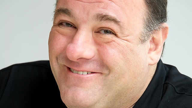PHOTO: James Gandolfini is shown at the at the "Not Fade Away" Press Conference at the Four Seasons Hotel, Nov. 30, 2012 in Beverly Hills, Calif.