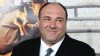 James Gandolfini attends the premiere of 