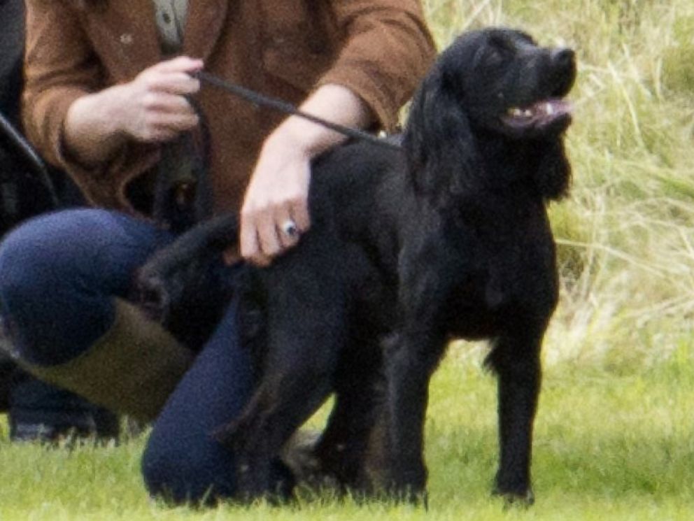 Royal Baby What to Know About Prince William and Kate Middleton's New